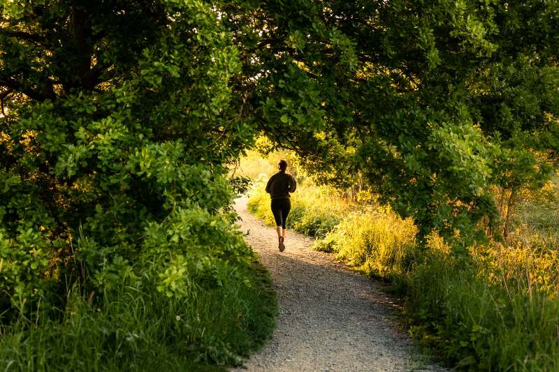 Les plus beaux parcours de course à pied en Flandre