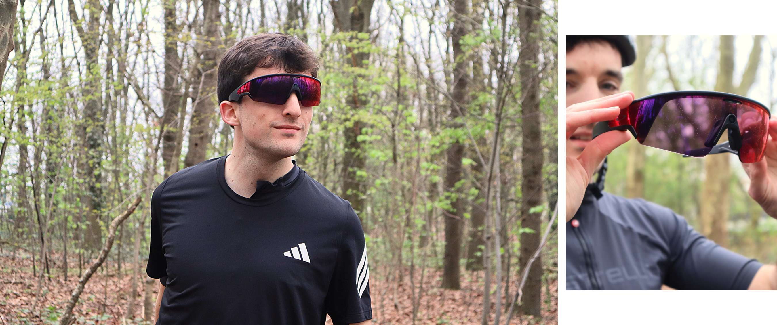 Twee beelden: mist trekt door een rotsachtig berglandschap; koe staat in een weide met bomen.