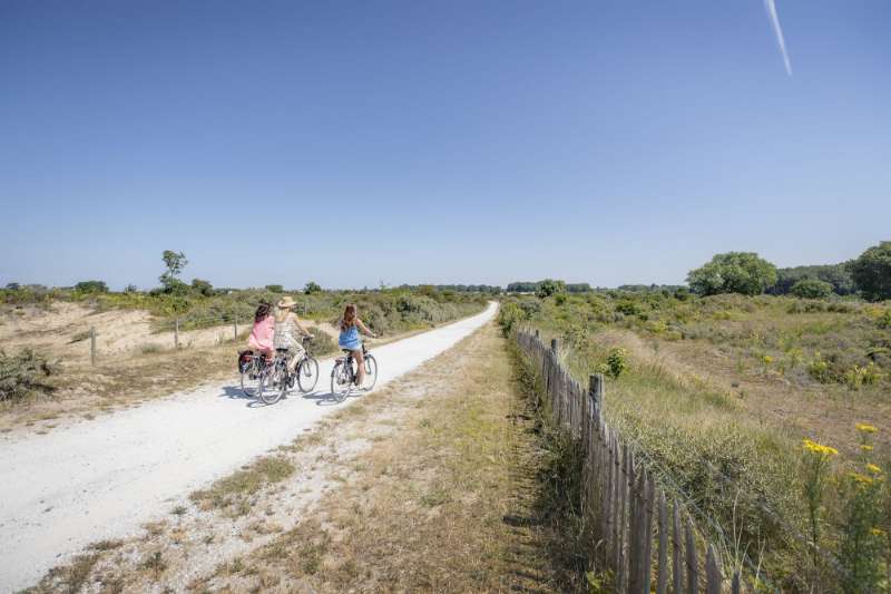 Les plus beaux itinéraires cyclables de Flandre
