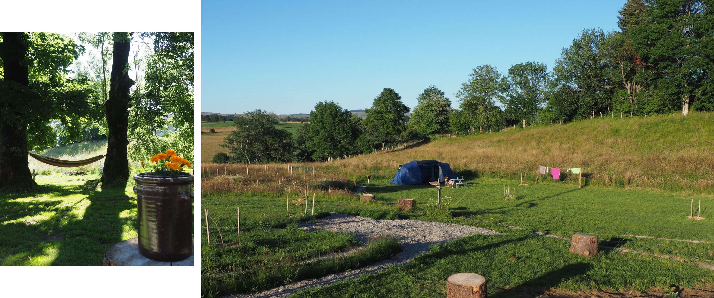 eux images : hamac entre arbres avec fleurs ; tente sur terrain de camping vallonné