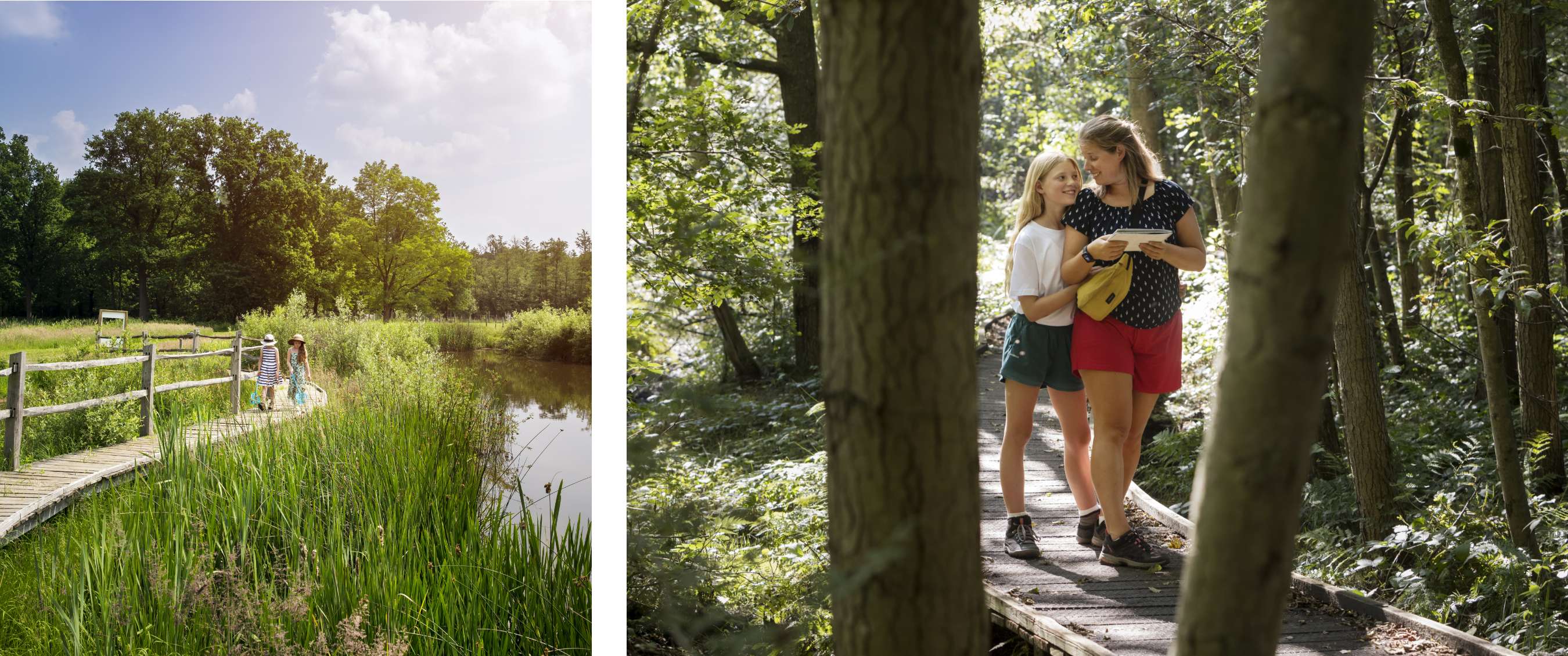 Deux images : des enfants marchent sur une passerelle en bois le long de roseaux et de l’eau ; un adulte et un enfant marchent sur un sentier en bois en forêt.