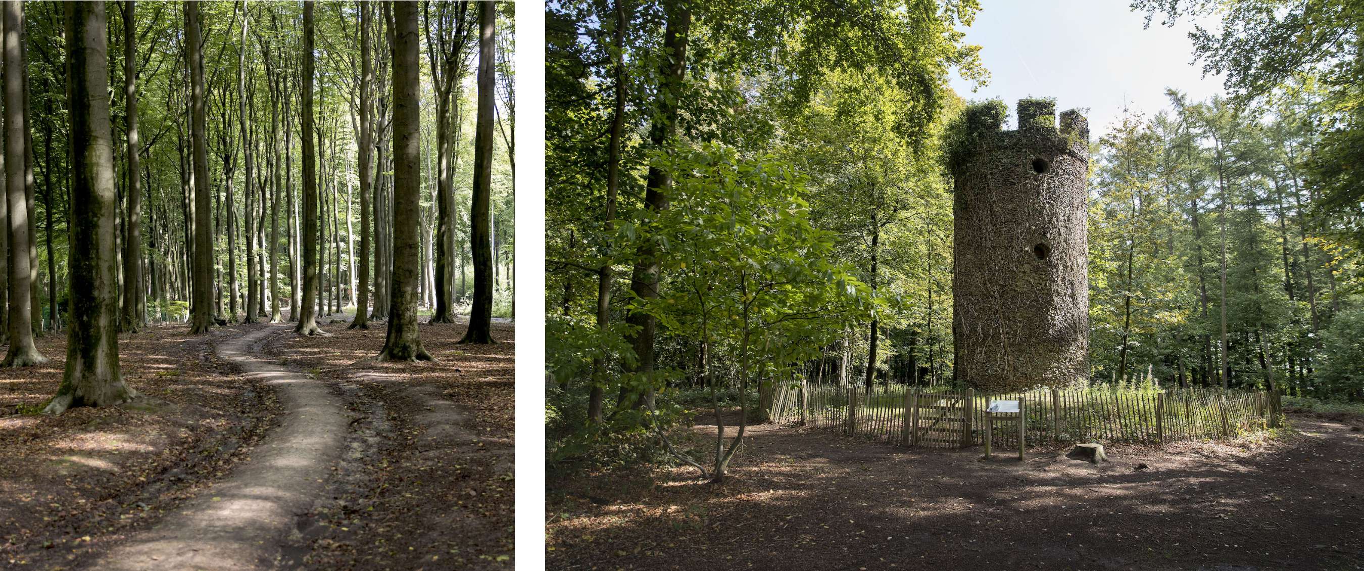 Deux images : chemin sinueux sur le sol forestier entre les arbres ; tour d’observation isolée entourée d’arbres et d’une clôture en bois.