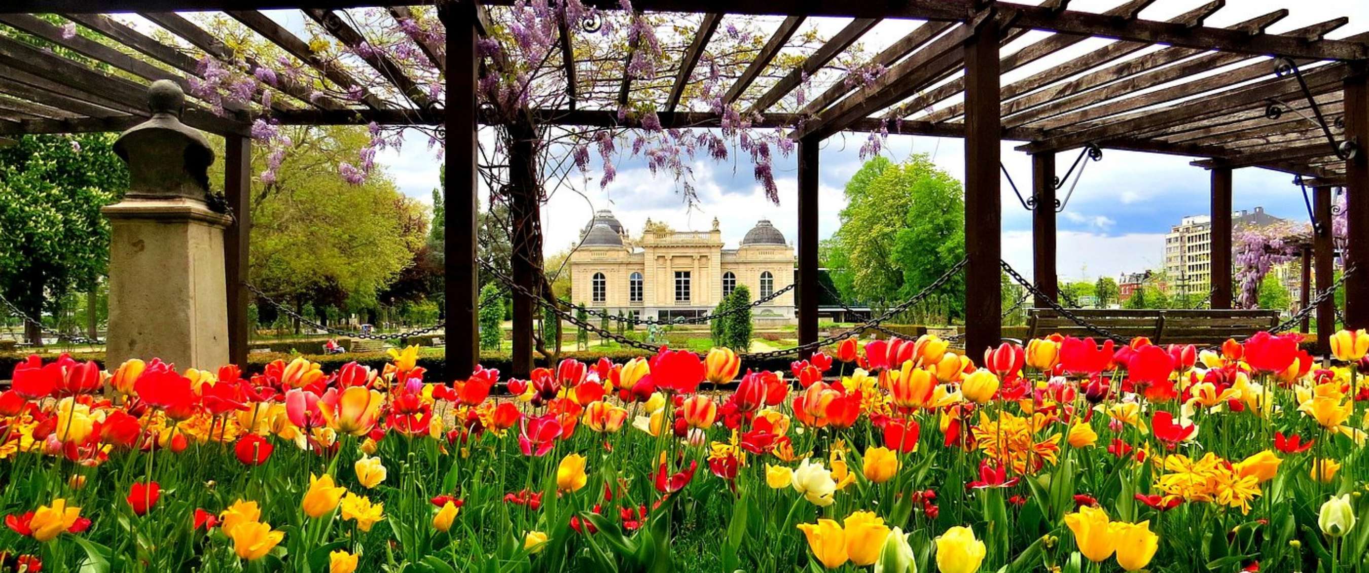 Tulipes colorées sous une pergola en bois avec bâtiment historique dans un parc à Liège.