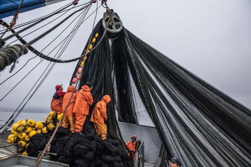Patagonia NetPlus Nylon : vêtements en filets de pêche recyclés