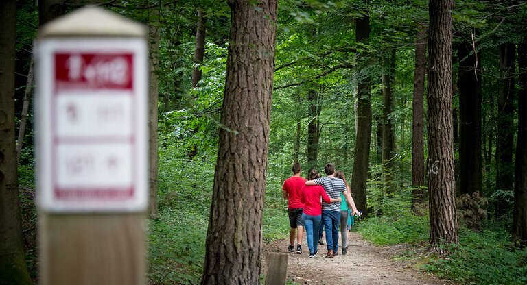 Mensen op wandel in het bos