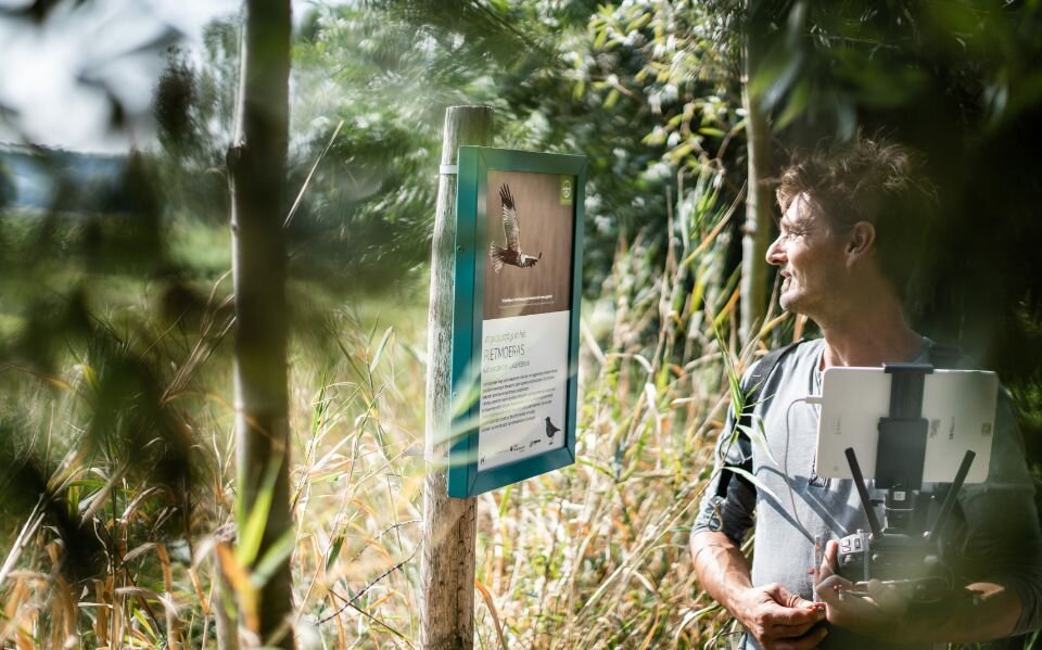 Wannes Dermout in het bos