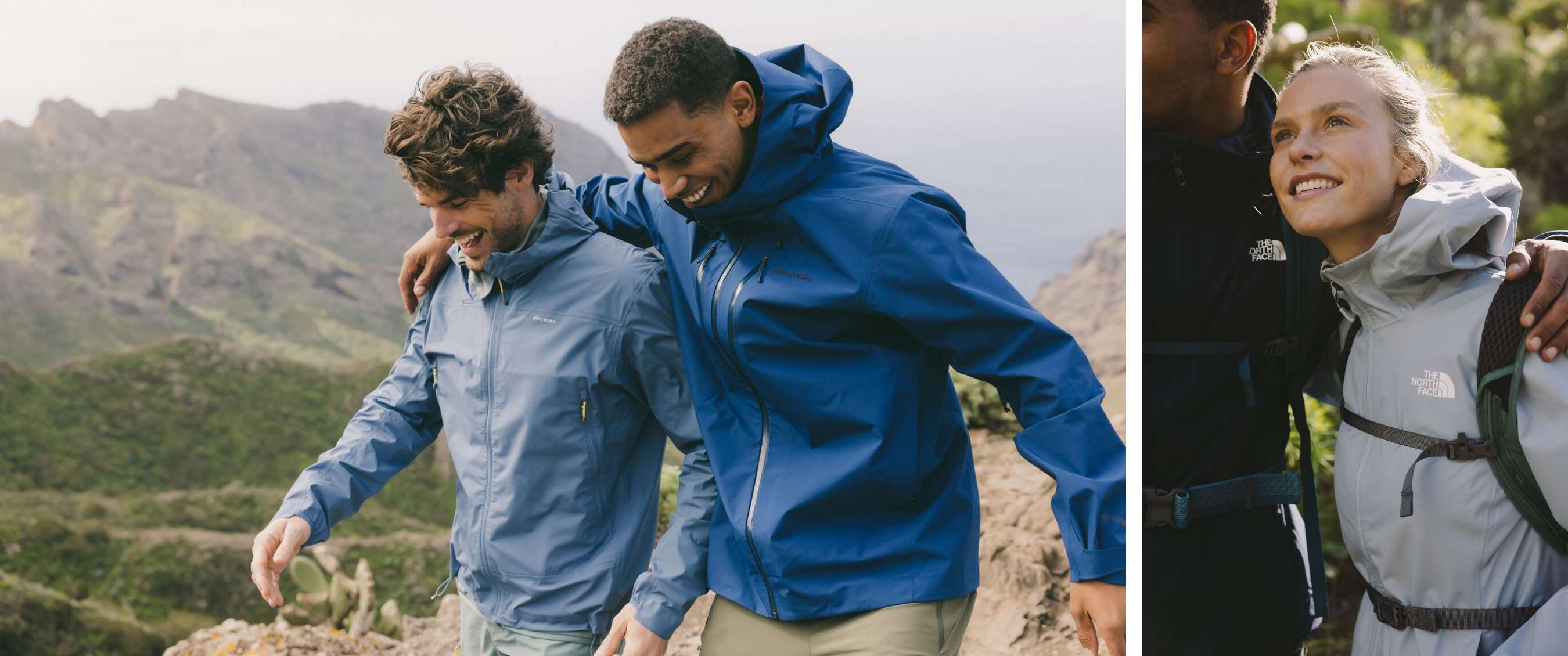 Twee beelden: mist trekt door een rotsachtig berglandschap; koe staat in een weide met bomen.