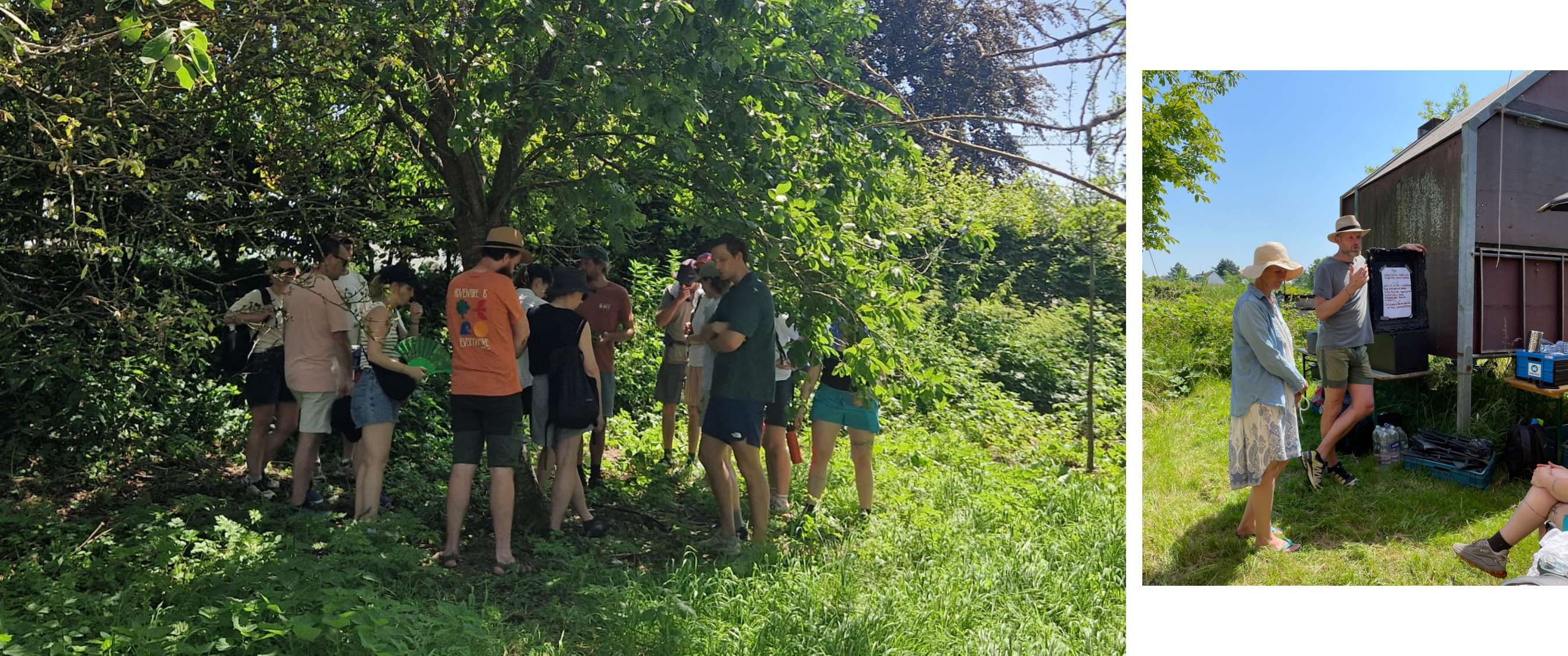 Un groupe de personnes se tient sous un grand arbre dans un environnement vert et ensoleillé.