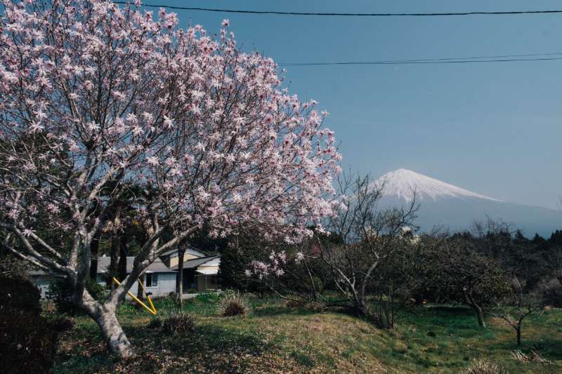 Japon : découvrez Tokyo, le mont Fuji, Kyoto et Osaka avec un petit budget