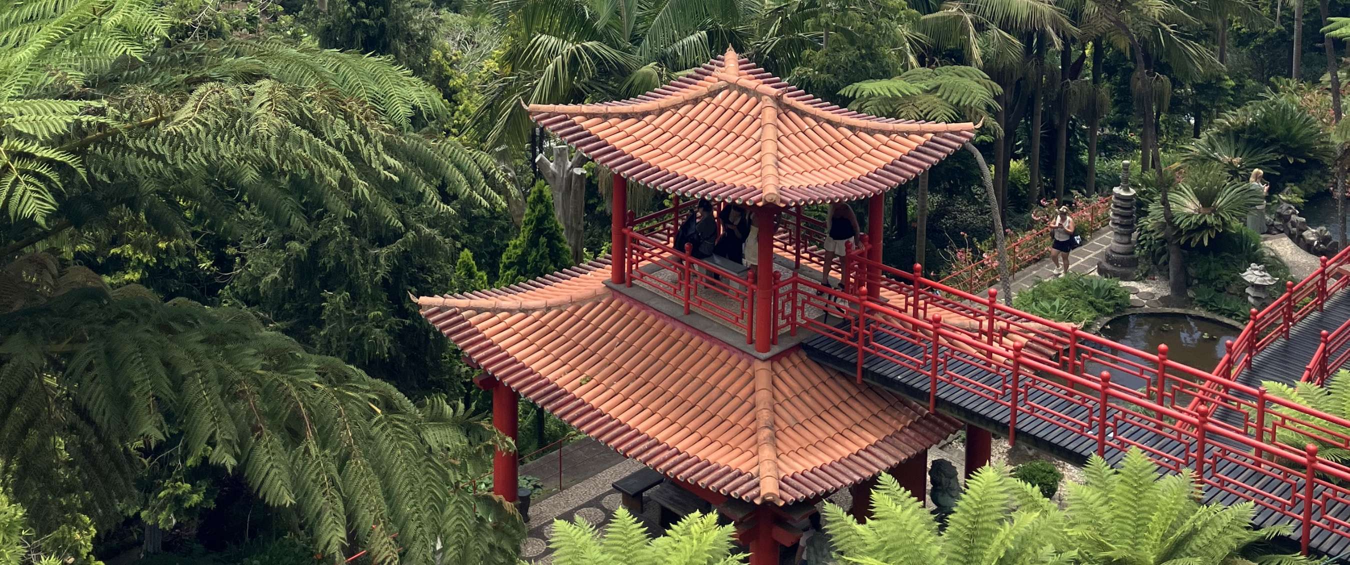 Pagode rouge avec pont entre plantes et arbres luxuriants