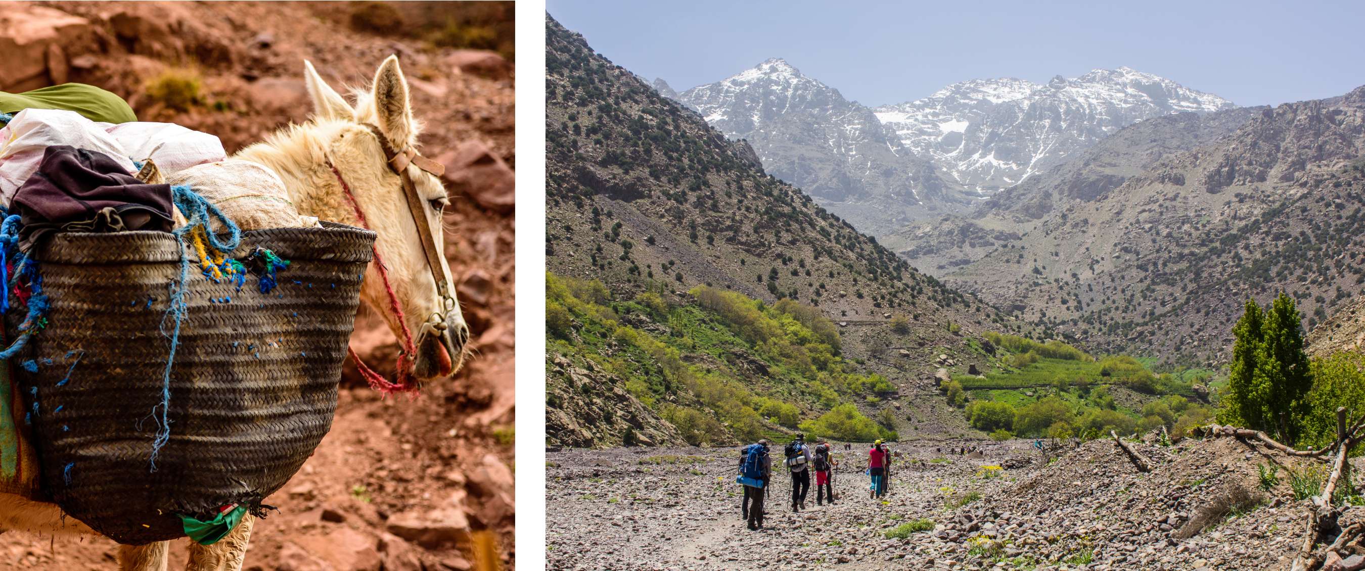 Deux images : âne chargé de paniers sur un sentier de montagne ; groupe de randonneurs avec sacs à dos dans une vallée rocheuse aux sommets enneigés.