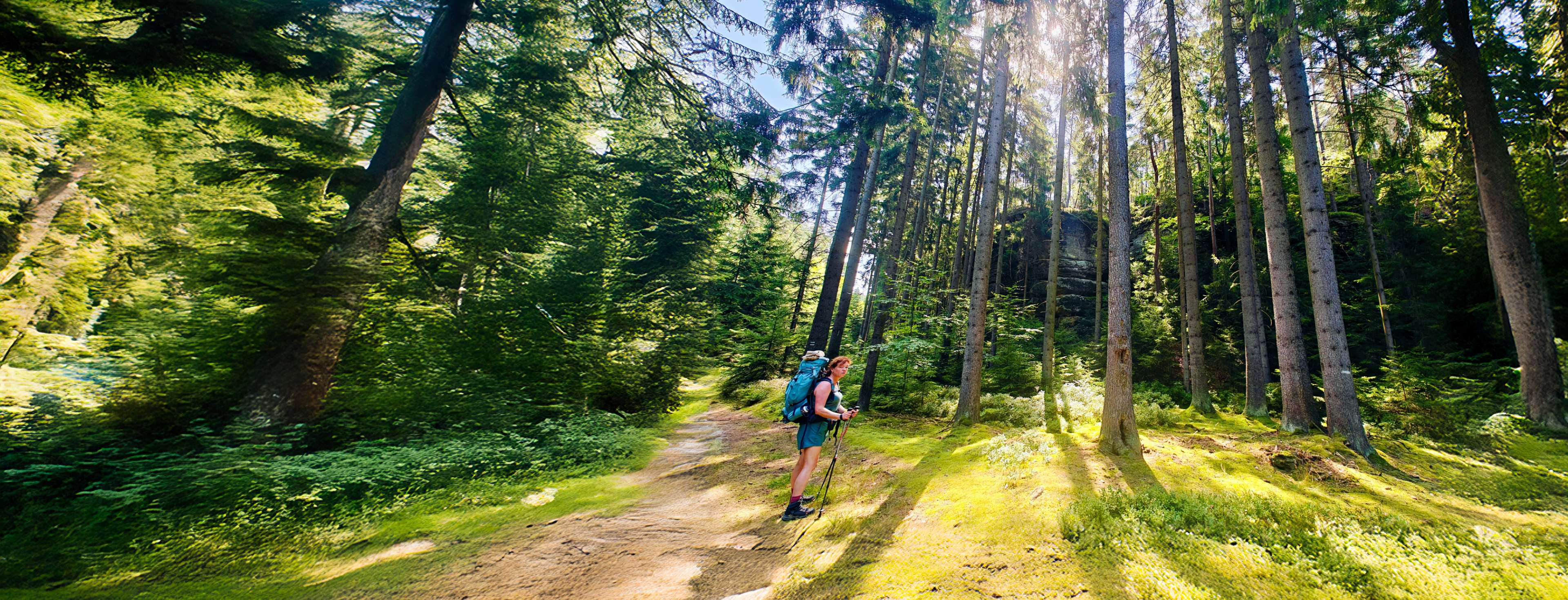 Randonnée à travers la République tchèque : 6 jours de slow travel vers Prague