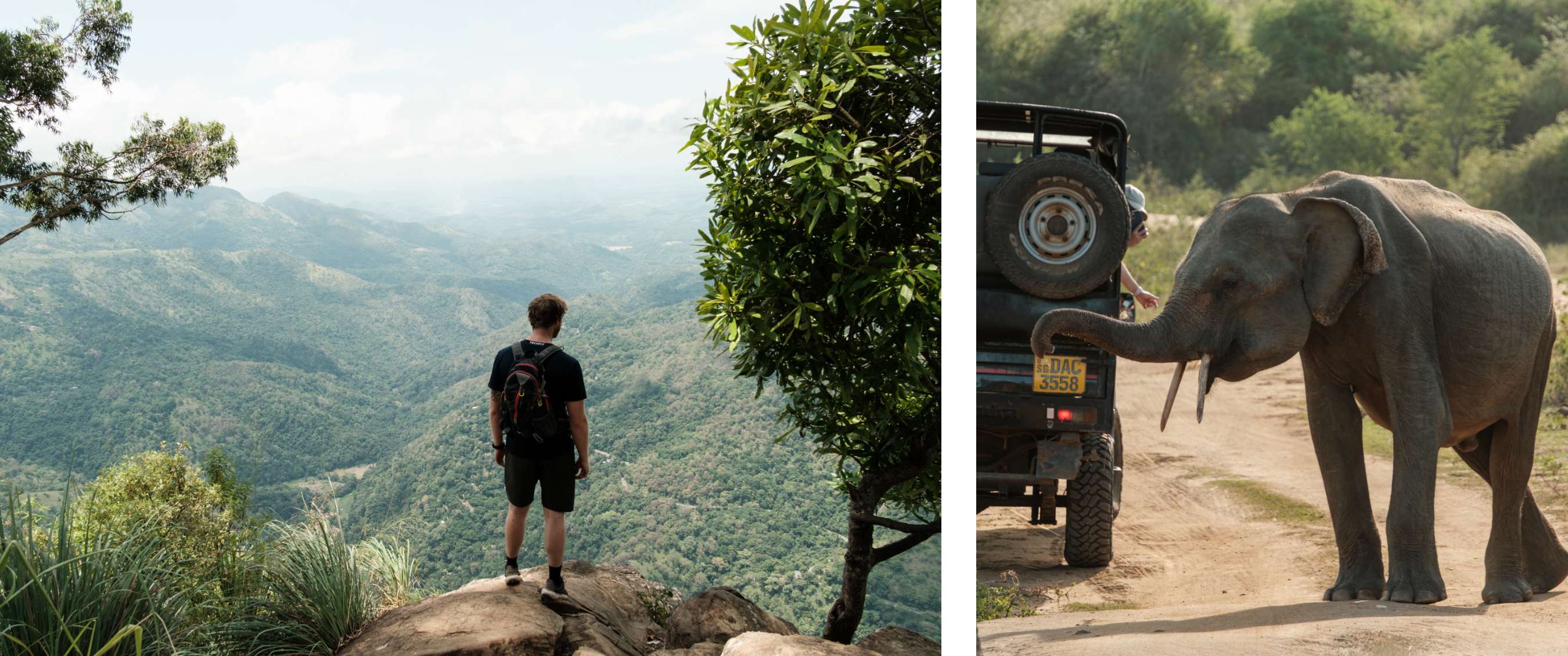 Deux images : personne regardant un paysage de montagnes vertes ; éléphant près d’une jeep sur une piste
