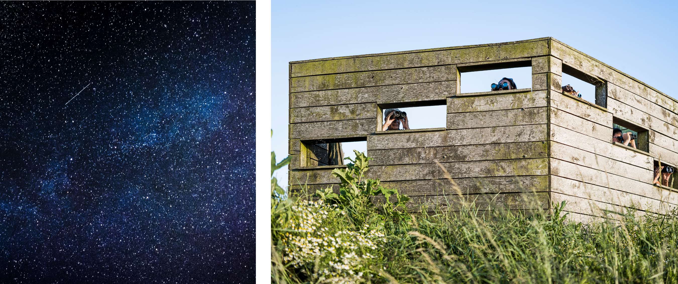 Deux images : Ciel étoilé avec la Voie lactée et une étoile filante ; observatoire en bois avec des personnes regardant à travers des jumelles.
