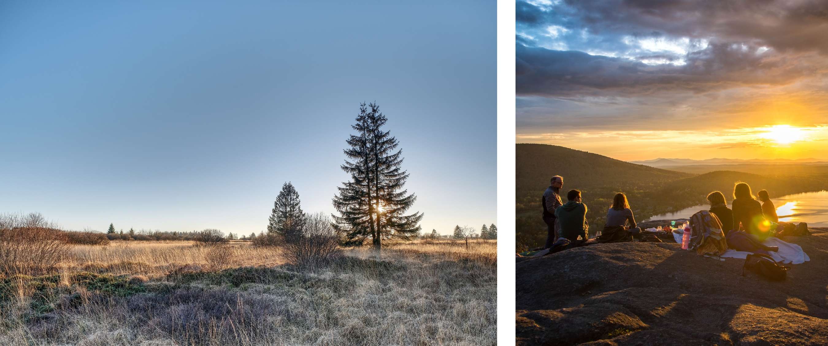 Deux images : Prairie ouverte avec un épicéa solitaire et une végétation basse sous un ciel clair ; groupe de personnes assises sur un rocher face à une vallée au coucher du soleil.
