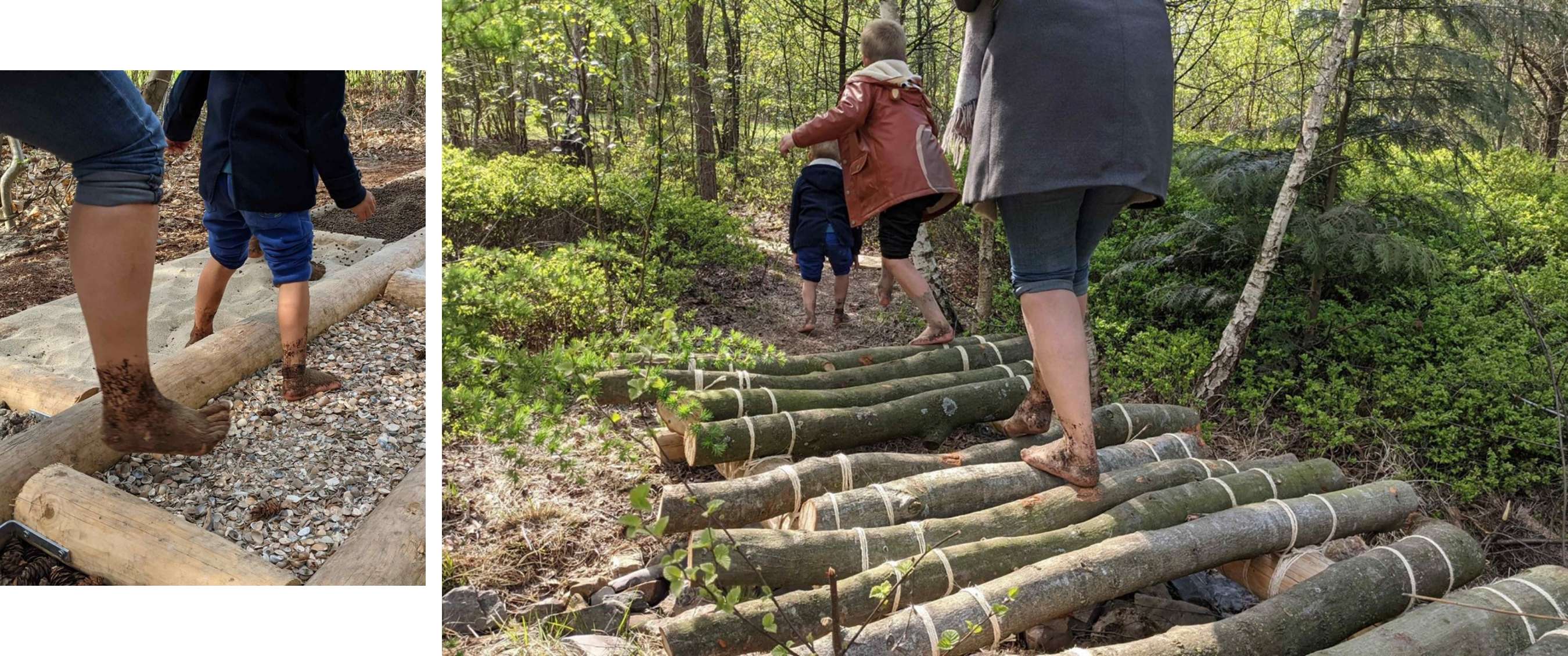Des marcheurs pieds nus suivent un parcours de troncs attachés entre les arbres.