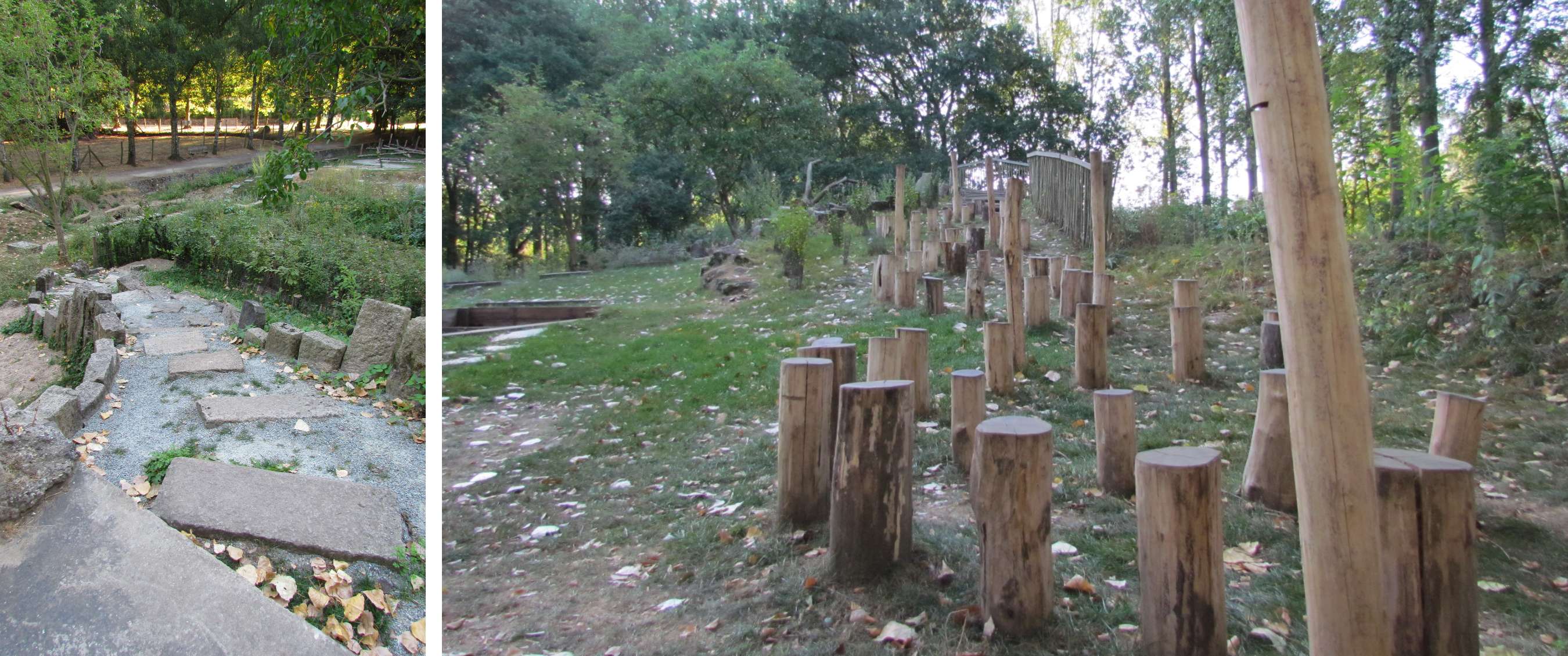 Une série de troncs de différentes hauteurs forme un parcours entre les arbres.