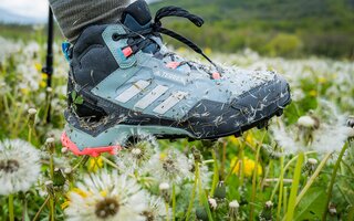 Test chaussures de randonn e TERREX Free Hiker 2 A.S.Adventure