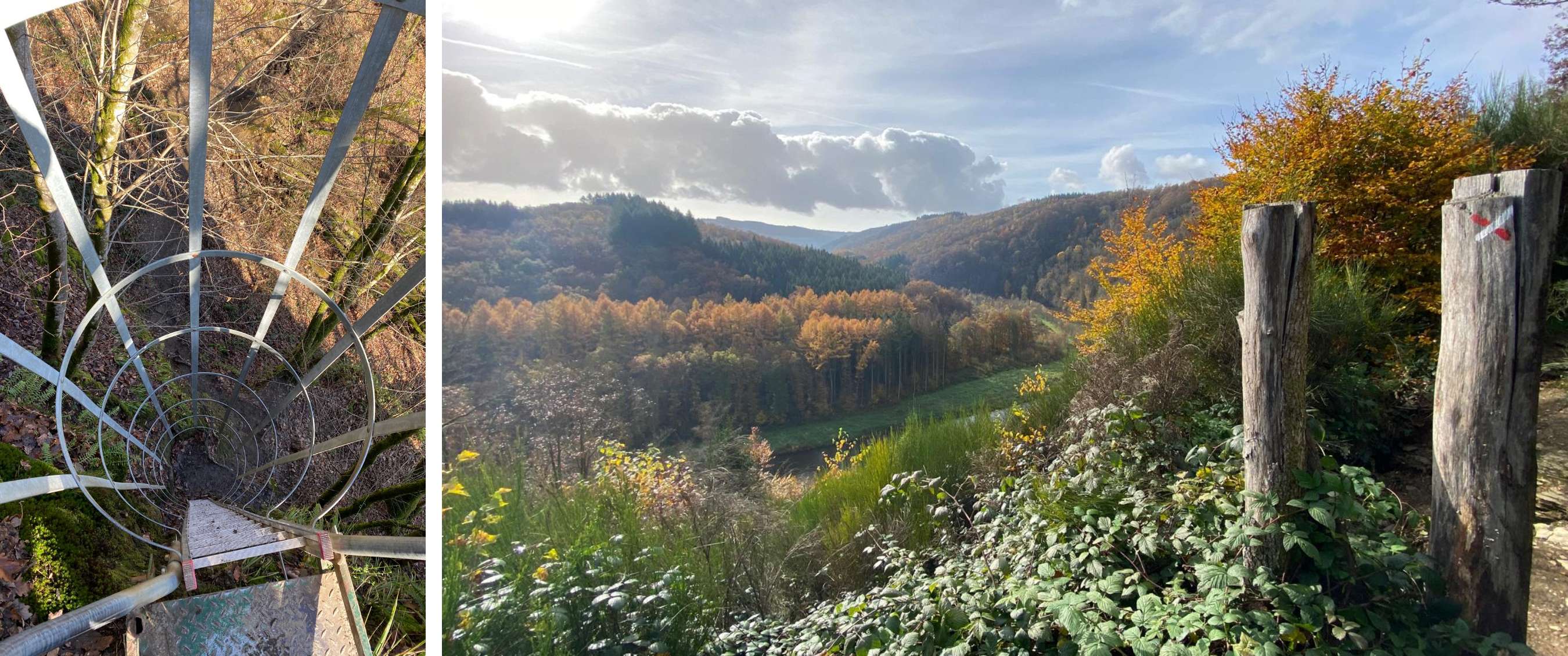 Deux images : échelle métallique descendante ; vue automnale sur une vallée boisée