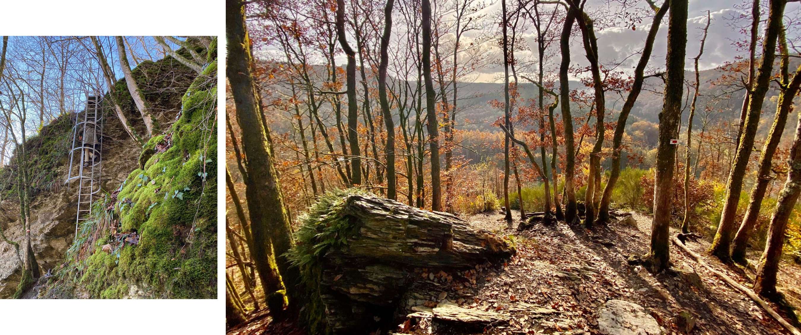 Deux images : échelle métallique le long d’une paroi rocheuse ; forêt d’automne avec vue