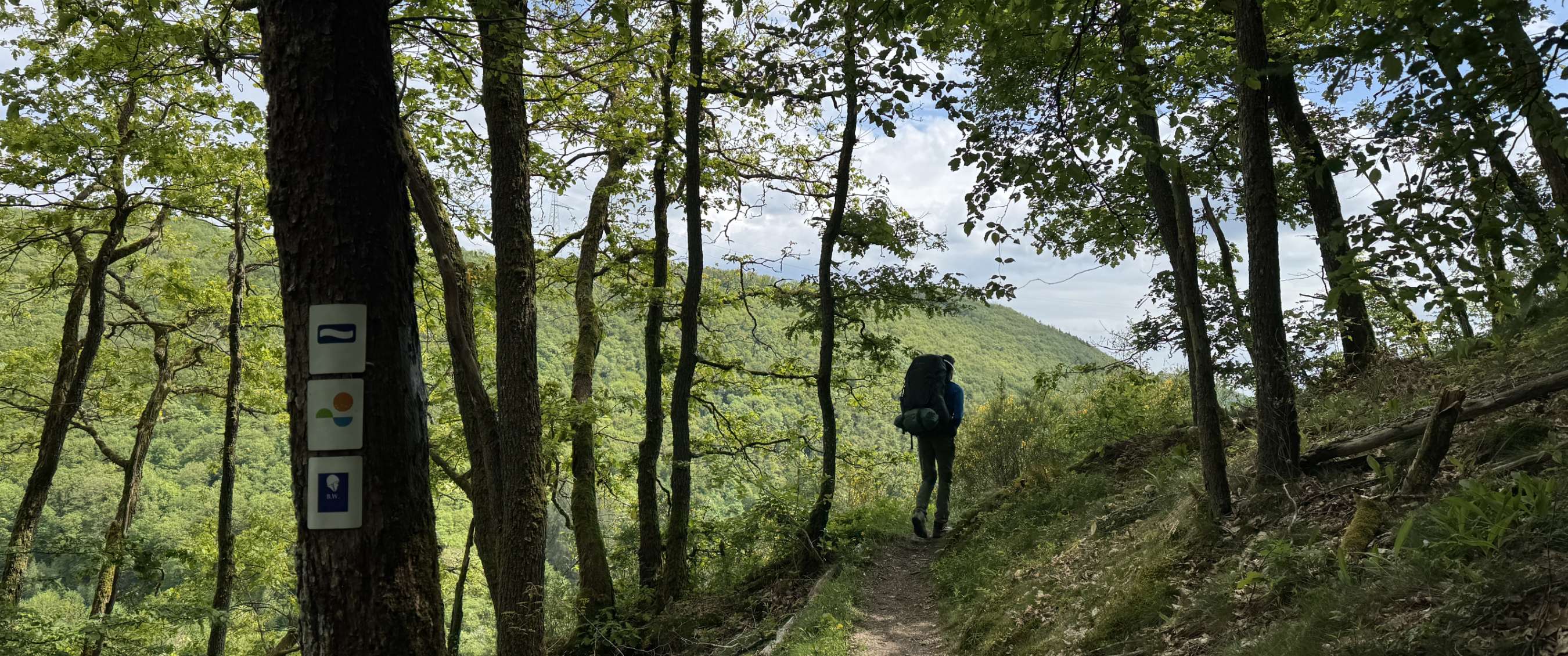 Randonneur avec sac sur un sentier forestier près de balises fixées à un arbre
