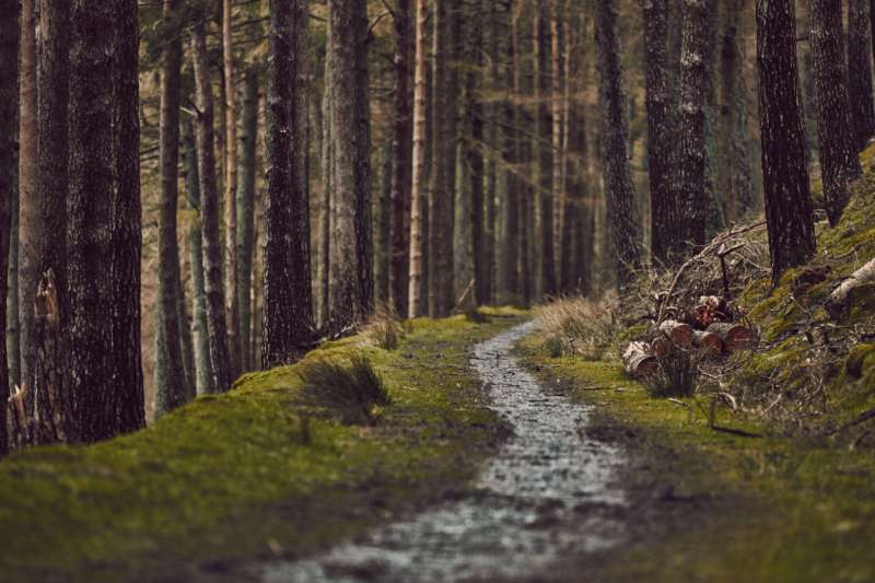 Les itinéraires de randonnée méconnus au Luxembourg