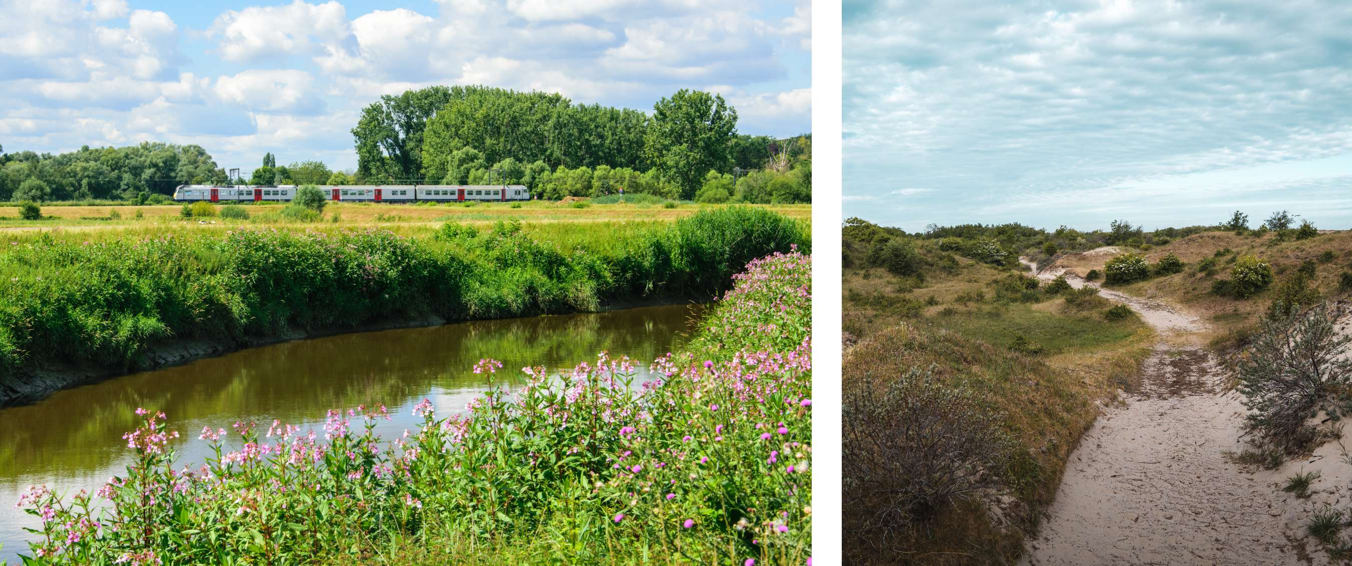 Deux images : un train longe une rivière verte bordée de fleurs ; un sentier sablonneux traverse un paysage de dunes à végétation basse.