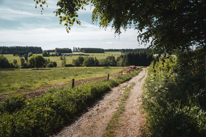 Promenades de gare en gare en Flandre : les plus beaux sentiers