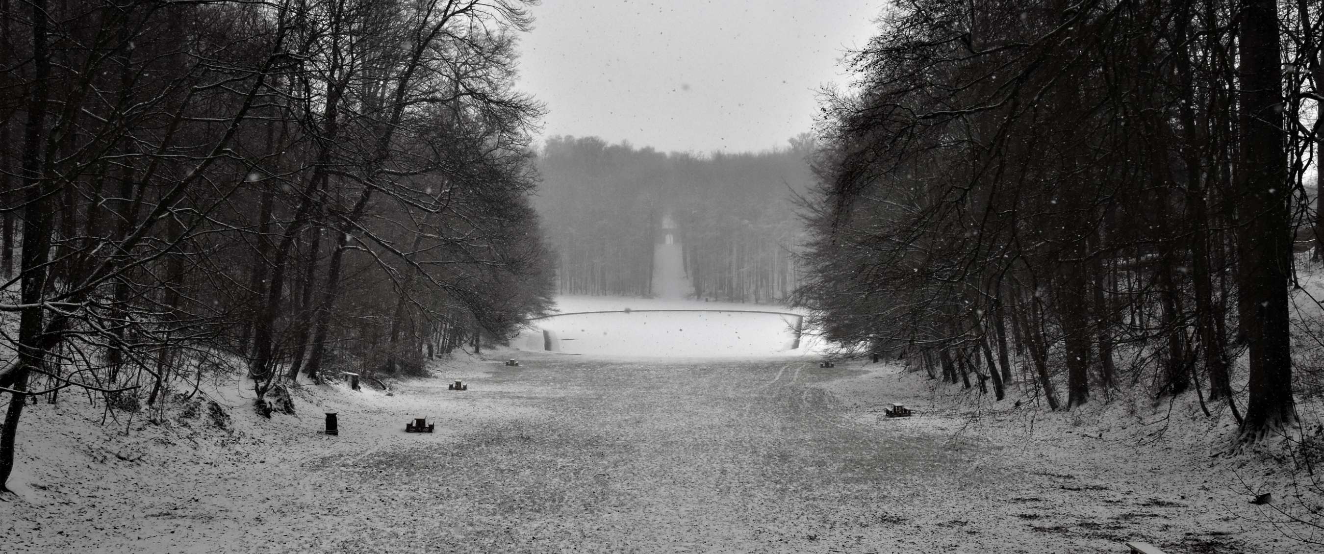 Vue hivernale sur une allée boisée couverte de neige