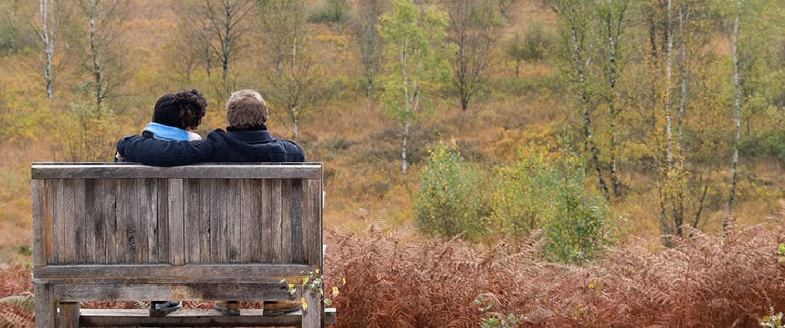 Deux personnes sur un banc avec vue sur des arbustes, des fougères et de fins arbres d’automne.