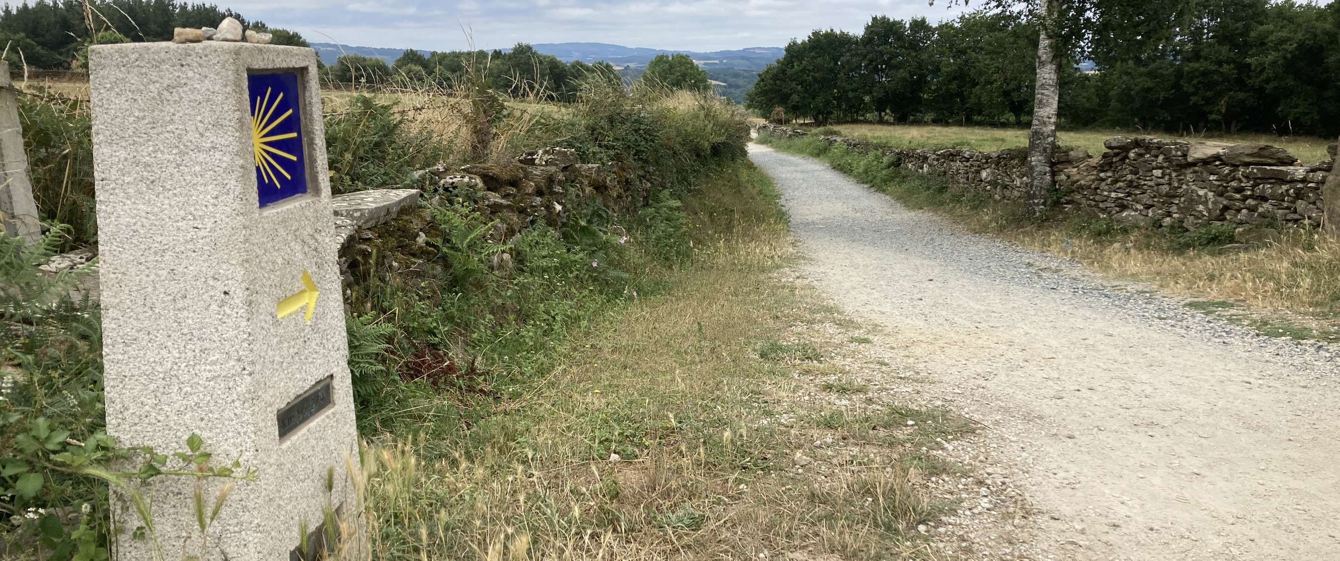 Borne de pèlerin avec coquille et flèche jaune le long d’un chemin de gravier.
