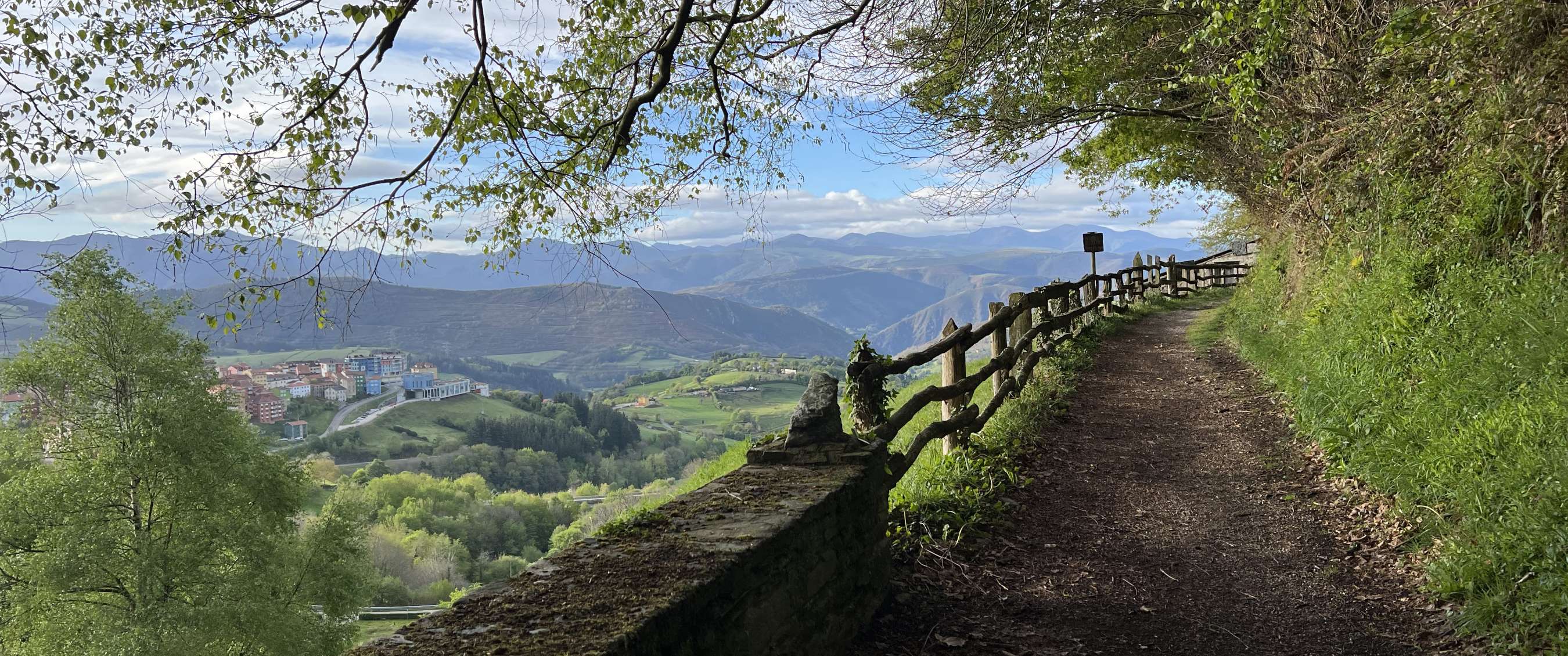 Chemin ombragé au-dessus d’une vallée avec barrière en bois et paysage montagneux.