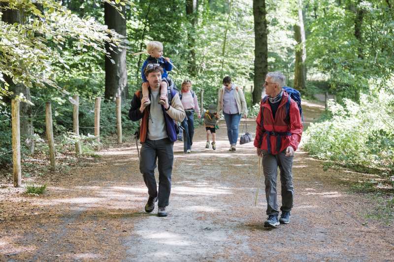 Randonnée dans le bois de l’Enclus parmi les jacinthes des bois en Ardenne