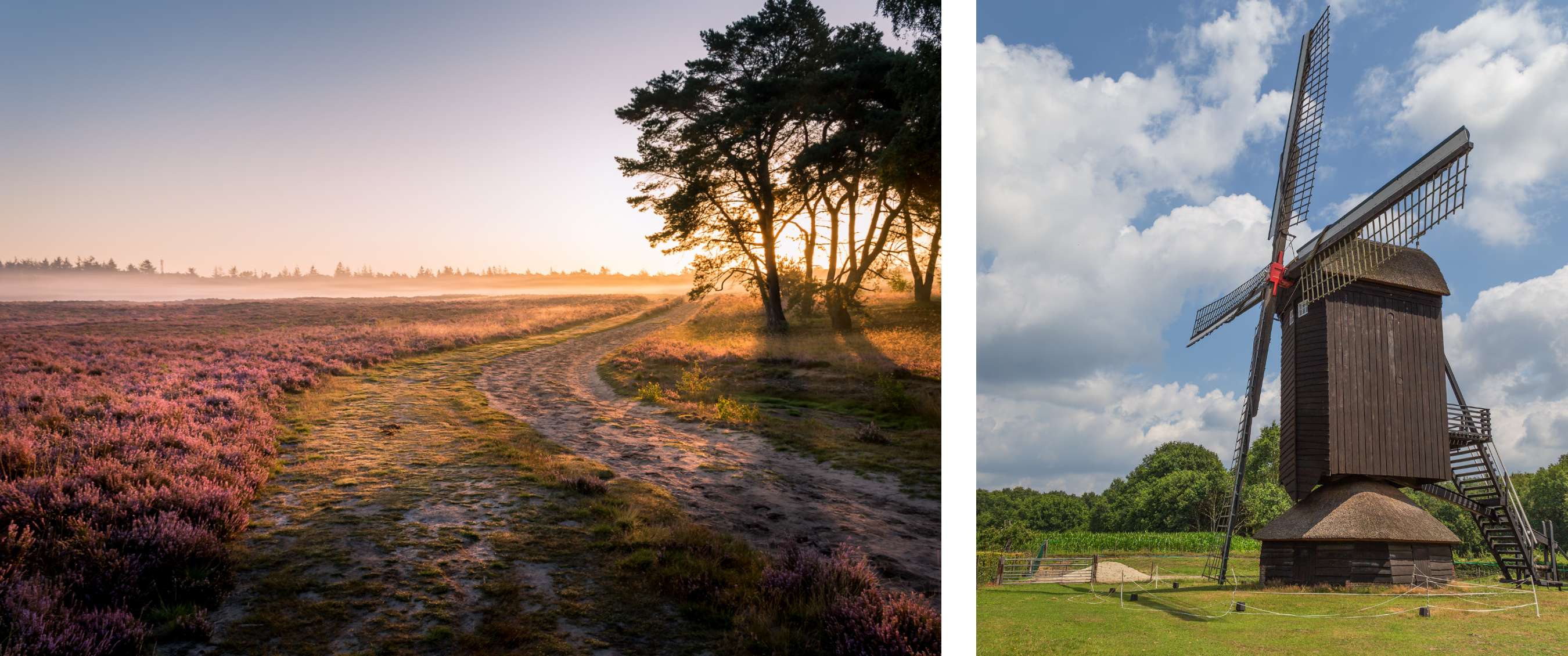 Wandelaar in outdoor kleding in een bergachtig landschap