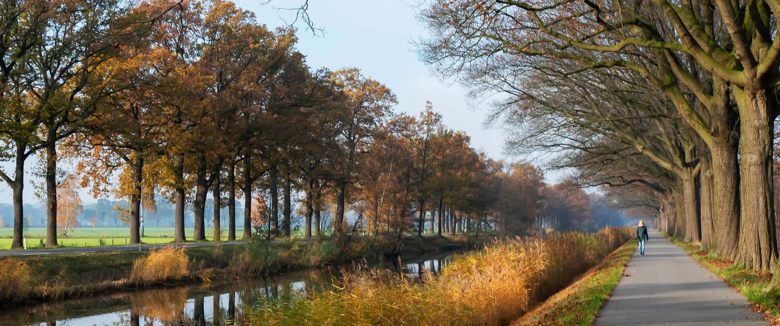 Wandelaar in outdoor kleding in een bergachtig landschap