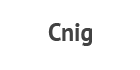 CNIG logo
